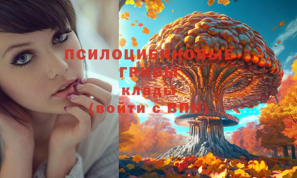 марихуана Белокуриха