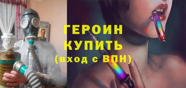 сатива Беломорск