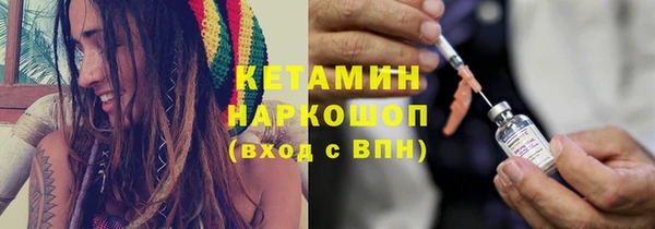 сатива Беломорск