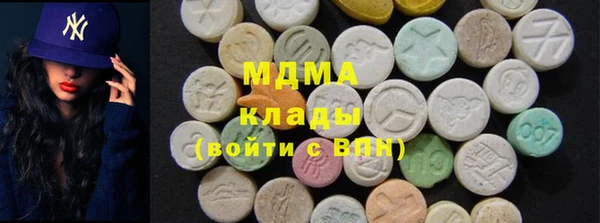 сатива Беломорск