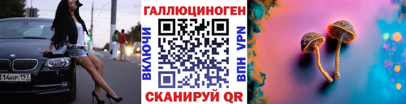 Псилоцибиновые грибы GOLDEN TEACHER  OMG онион  Видное 