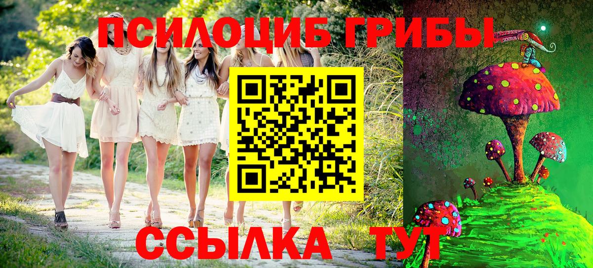 Видное  Галлюциногенные грибы Cubensis  Вход с VPN 