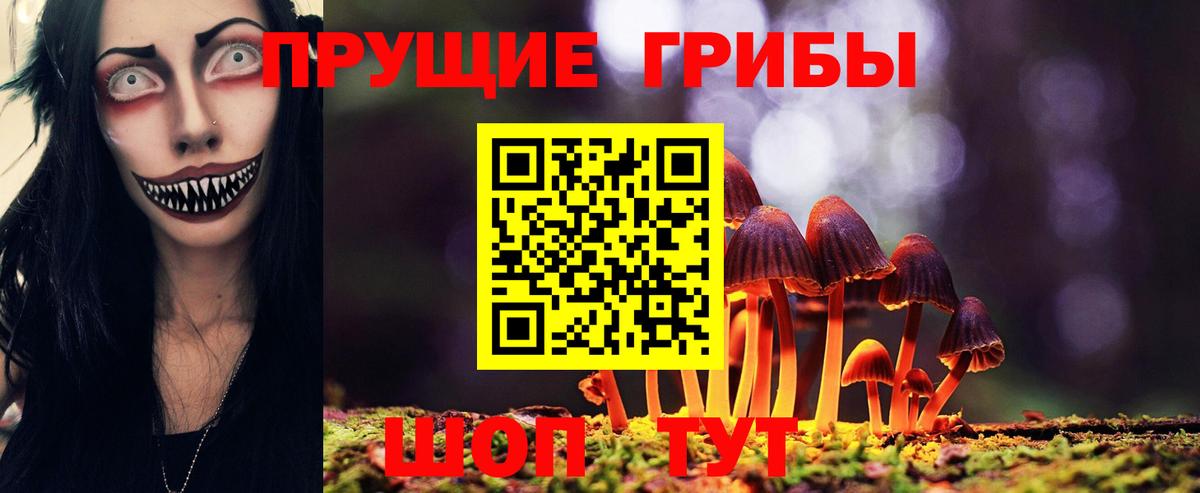 Псилоцибиновые грибы MAGIC MUSHROOMS Видное