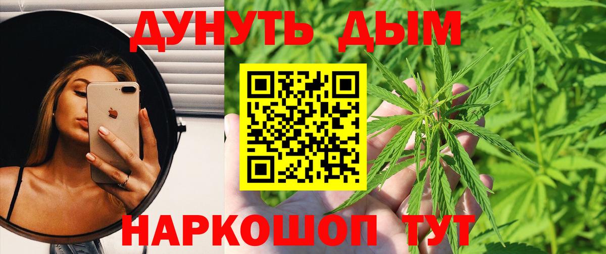 Каннабис MAZAR Видное